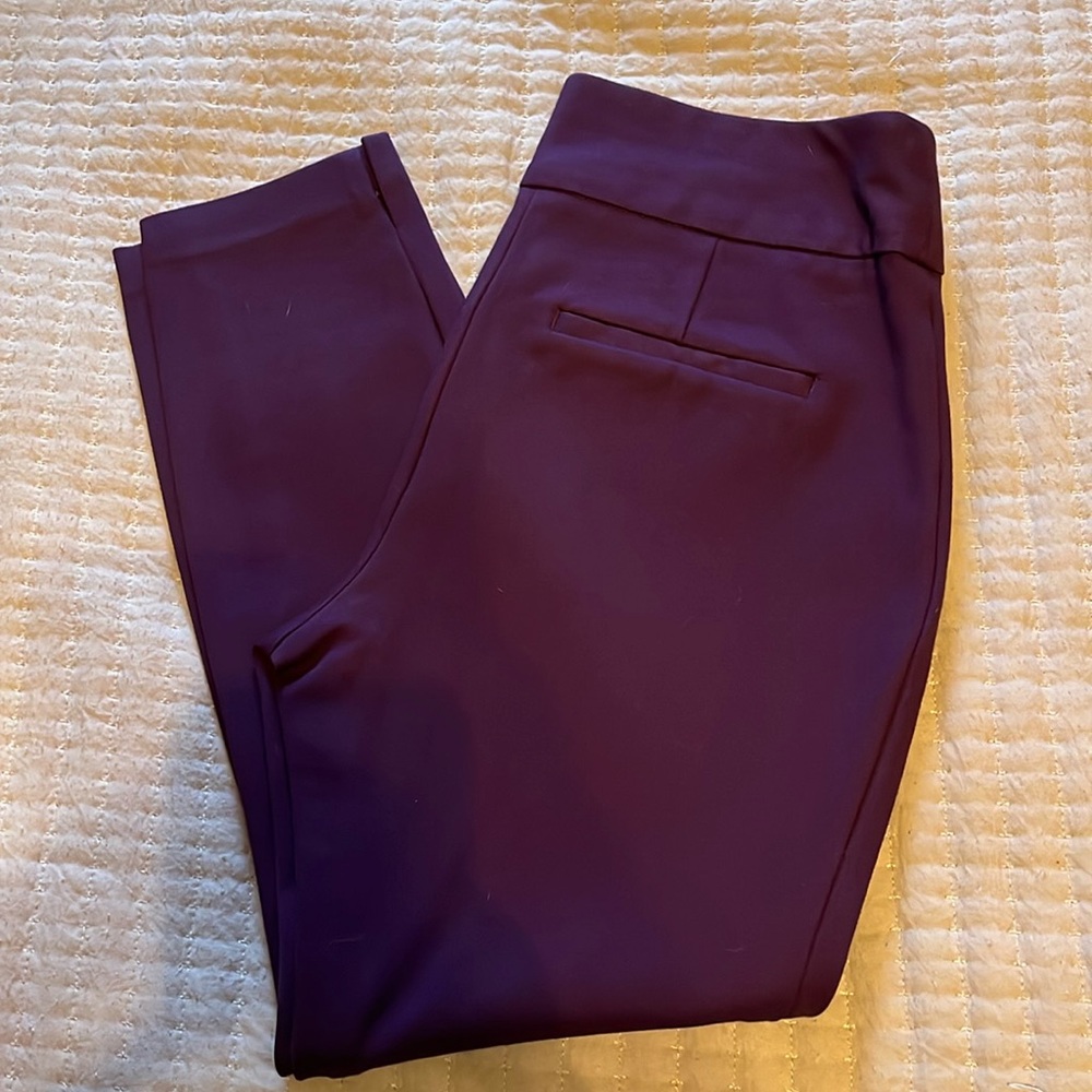Columnist high waisted knit ankle pants